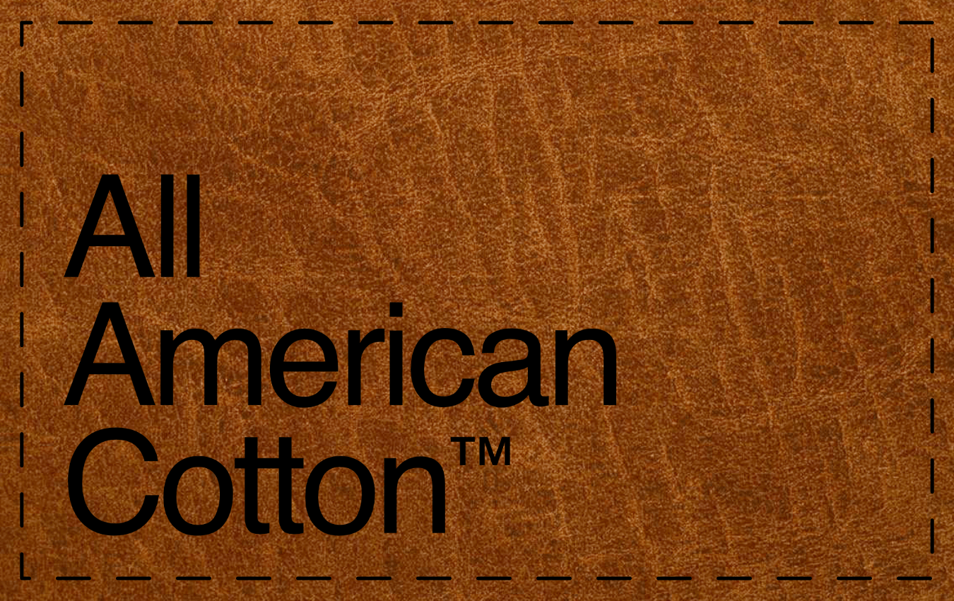 25.2.24 AAC Leather Patch EXAMPLE-min